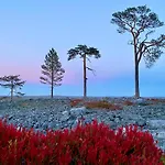 Hébergement de vacances Lapland Pyhae In, Sauna, Free Wifi, National Park - Lapland *