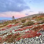 Lapland Pyhae In, Sauna, Free Wifi, National Park - Lapland * פיהטונטורי