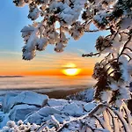 Lapland Ski-in - Lapland - Sauna, National Park, Slopes, Trails, Just Steps From Local Amenities, Yet Peaceful 別荘 ピュハトゥントゥリ