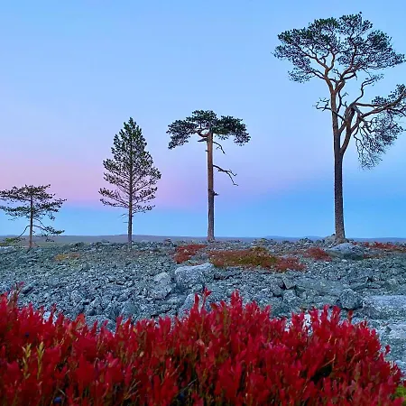 Σπίτι διακοπών Lapland Pyhae In, Sauna, Free Wifi, National Park - Lapland *