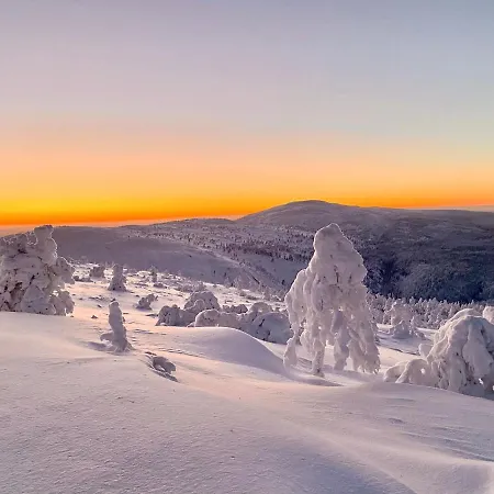 Сasa de vacaciones Lapland Pyhae In, Sauna, Free Wifi, National Park - Lapland *