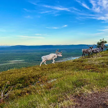Hébergement de vacances Lapland Ski-in - Lapland - Sauna, National Park, Slopes, Trails, Just Steps From Local Amenities, Yet Peaceful *