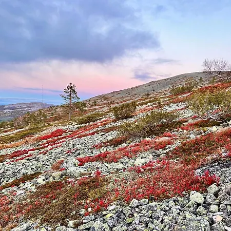 Lapland Pyhae In, Sauna, Free Wifi, National Park - Lapland * Pyhätunturi