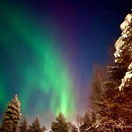 Lapland Ski-in - Lapland - Sauna, National Park, Slopes, Trails, Just Steps From Local Amenities, Yet Peaceful Hébergement de vacances *