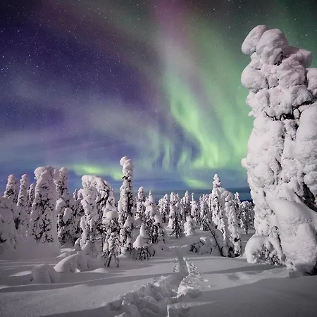 Lapland Ski-in - Lapland - Sauna, National Park, Slopes, Trails, Just Steps From Local Amenities, Yet Peaceful Hébergement de vacances *
