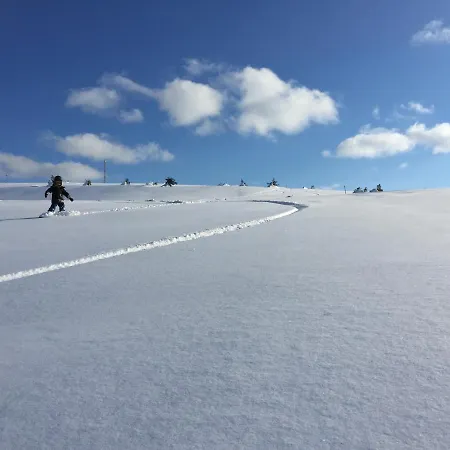 Сasa de vacaciones Lapland Pyhae In, Sauna, Free Wifi, National Park - Lapland *